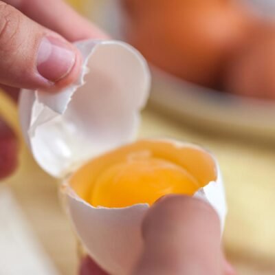 Egg Price