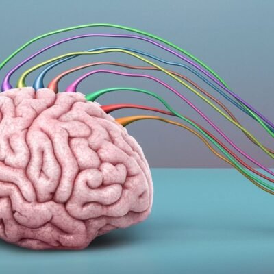 Brain Scan